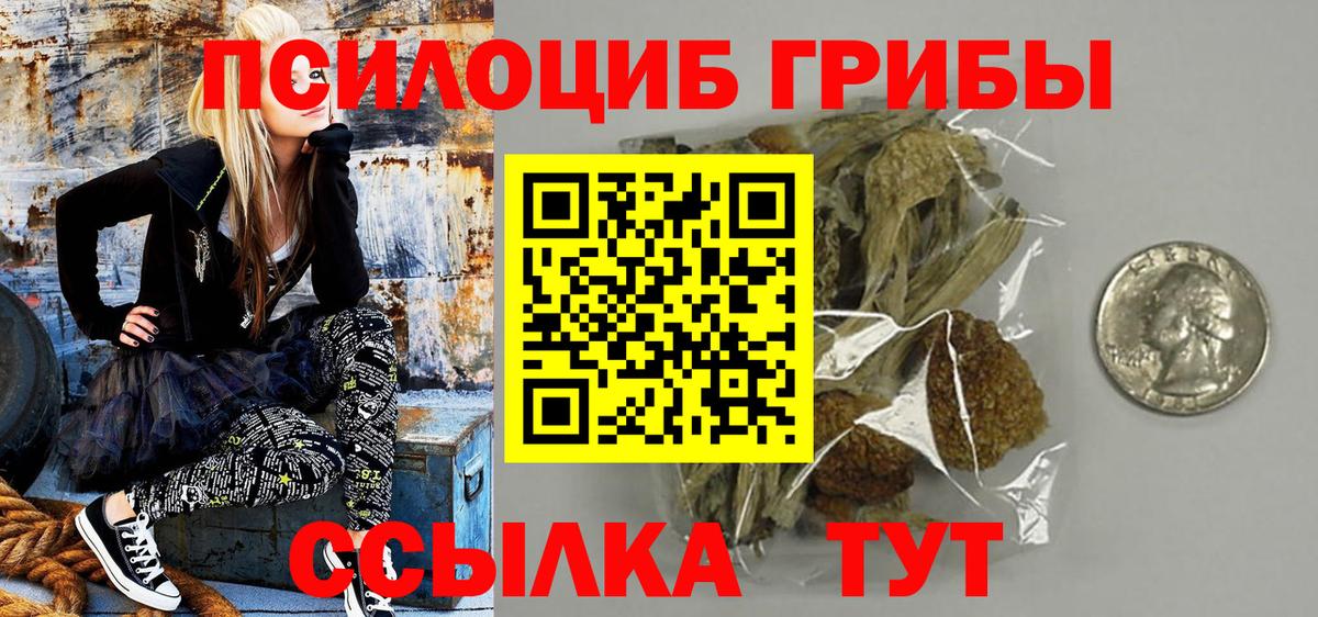 Кирово-Чепецк  Псилоцибиновые грибы ЛСД  цена   Вход с VPN 